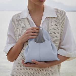 Totes Sac fourre-tout fourre-tout sacs à main français Polebag en cuir Dumpling Femme Mode Single épaule Cross Body Square Lunch Box Cloud 230304