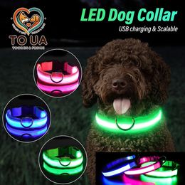 Toua choix xsm collier de chien USB lumineux rechargeable lumières LED réglables Soft Safety Night clignotant des animaux de compagnie 240528