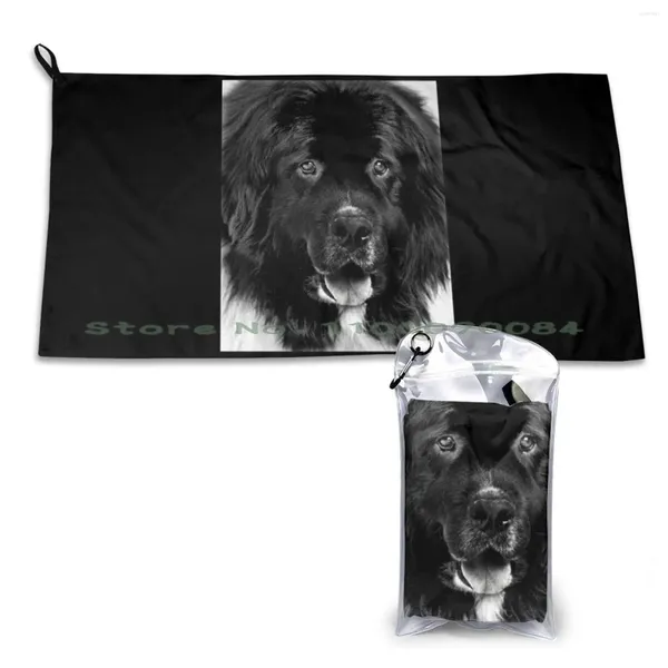 Serviette Foundland Portrait de chien en noir et blanc