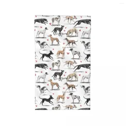 Handdoek Kawaii Greyhounds Patroon Ademend Katoen Gezicht Sneldrogend Lurcher Whippet Sighthound Hond Zwembadhanddoeken