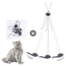 Jouet auto-hey porte suspendue chat rétractable corde à gratter souris chat bâton fournitures pour animaux de compagnie porte suspendue fournitures de chat drôle