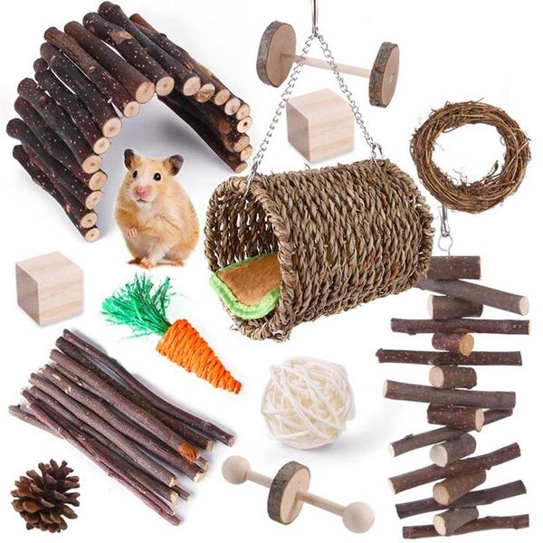 Juguetes Paquete de 12 juguetes para masticar hámster Gerbil rata conejillo de indias Chinchilla juguetes para masticar accesorios cuidado de los dientes juguete Molar para conejos