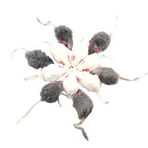 Toys 12pcs False Mouse Cat Pet Toys Cat Cat Longhaired Tail Mice Sound Rattling Soft Real Rabbit Fur Sound Cat Cat Toy