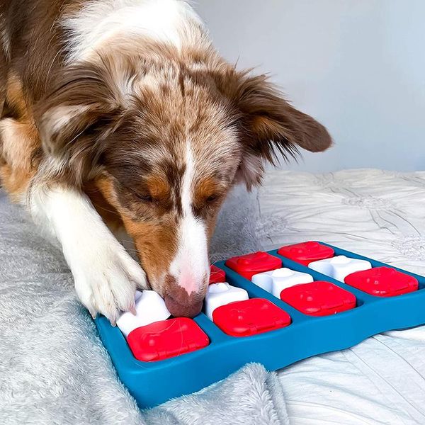 Jouets 1 pièces jeu interactif pour chien, jouet d'intelligence, friandises et recherche amusantes, boîte au trésor Mobile, jouet d'intelligence pour animaux de compagnie