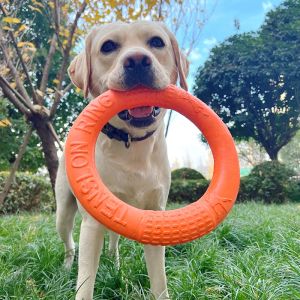 Jouets 27CM jouets pour chiens disque volant EVA jouets pour chiens à mâcher anneau d'entraînement extracteur extérieur flottant interactif jeu de chien jouet fournitures pour chiens