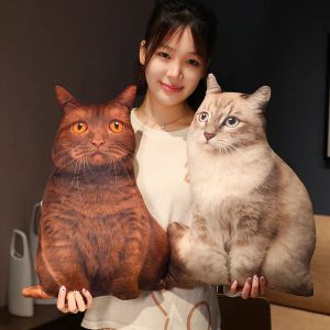 Toys 50cm Real Life Vivid Cat Planche Planche Simulate Cat Cushion Animal en peluche Toy Toy Sofa Sofa Decor Throw Pillow Gift