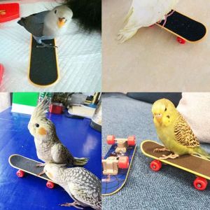 Speelgoed 5 stks/set Papegaai Training Speelgoed Mini Winkelwagen Training Ringen Skateboard Stand Baars Parkiet Valkparkiet Entertainment