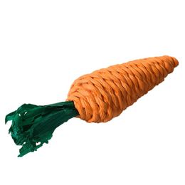 Jouets 8 pièces en forme de carotte perroquet morsure jouet Hamster mâcher molaire jouets pour lapin cochons d'inde petits animaux jouets de nettoyage des dents