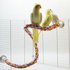 Toys Bird Molar Toy Durable Cotton Corde Multicolor Pet Parrot Perche debout pour Atiel Parrot Cage Toy Pet Bird Toy