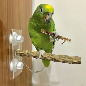 Toys Bird Parrot en bois Stick Stick Stick Suppor tasse de douche Perch Bar Batteur de baignade Perche Perche accessoires Cage