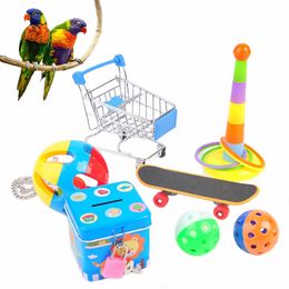Toys Bird Toy Perrot Toy Set Parrot Scooter Training Training Toy Hollow Rolling Ball Ball Bird PARAKEET CACCARAL PARROT CHEW FUN Toy 7pc