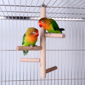 Toys Bird Wooden Perch Toy Natural Wood Stand Parkeet Toys Toys Bird Cage Perches Accessoires pour Quaker Sénégal Parrot Mini Macaws