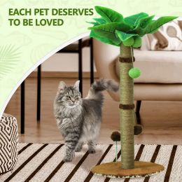 Toys Cat Scratching Post pour Cats Tree Catcus Cat Scratcher Posts Toy Kitten Kitty Kitty Sisal Corde Scratch with Teaser Ball