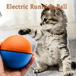 Toys Cat Toy balle électrique chatoule boule de chat automatique Automatique Intelligent Rolling Bold Boredom résistant à l'ennui depuis Hi Magic Device