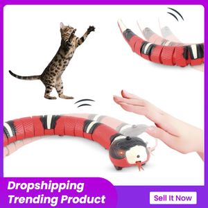 Toys Cat Toys Interactive Smart Sensing Snake Motion voor katten grappige USB -oplaadbare kattenaccessoires Pet Dogs spelen intelligent speelgoed