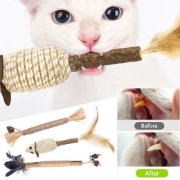 Toys Cat Toys Silvervine Chew Stick Pet Snacks Sticks Natural Stuff met Catnip voor kittenkatten reinigen tanden Cat accessoires Katze Katze