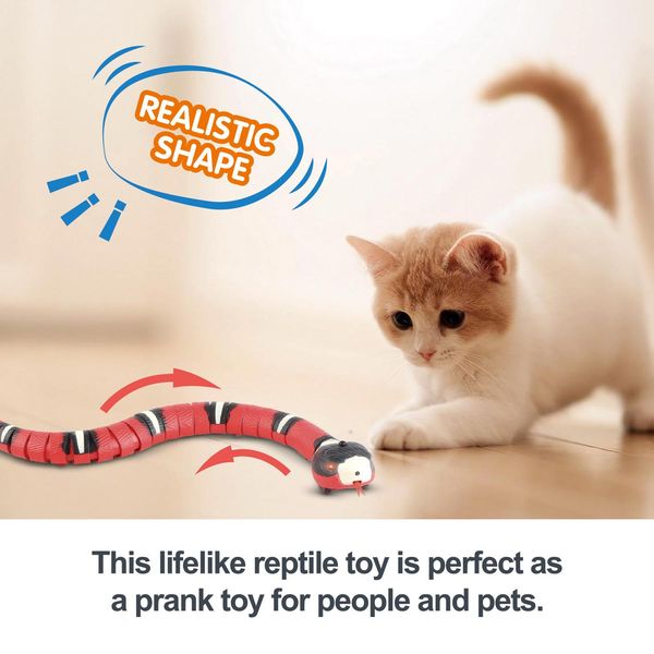 Jouets pour chats, serpent à détection intelligente, jouets interactifs électriques automatiques pour chats, chargeur USB, accessoires de jeu pour chiens