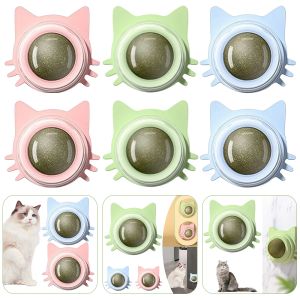 Toys Catnip Wall Ball Cat Toys Pet Toys For Cats Clean Mouth Promouvoir la digestion chaton Candy Licking Snacks Mint Ball Cat Accessoires