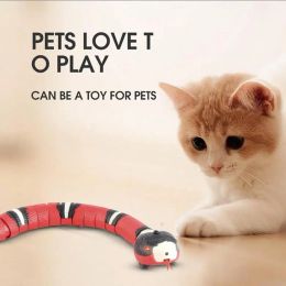 Jouets créatifs résistant aux morsures, jouet électrique délicat en forme de serpent pour chat, jouet en forme de serpent, Rechargeable par USB, fournitures pour animaux de compagnie