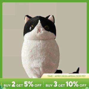 Toys Cat mignon en peluche Toy Animaux en peluche Kitty Cat Soft Doll Balck Cat Oreiller Kids Toys Cadeau d'anniversaire pour garçons