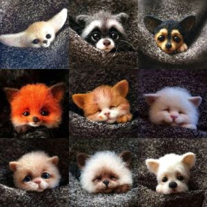 Toys Diy Femmes / hommes Pocket Animal Pet Dolft Toy Wool Needle Felting Kit diy non fini chien chat Fox Head Decor