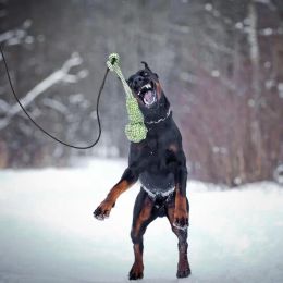 Jouets chien taquin bâton télescopique canne à pêche baguette jouet drôle chien bâton tige Flexible taquin chat baguette jouet pour chaton chiot chien chats