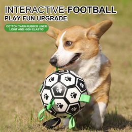 Toys Toys Toys Interactive Pet Football Toys With Grab Tabs Chog Dog Training Training Soccer Pet Pet Motte Merciens pour chiens