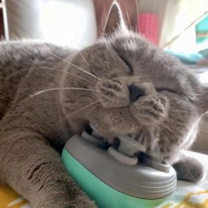 Speelgoed elektrische kat massager kop achteruit voor het verlichten van spanning Pet Massage Tool schouderhals diepe weefsel hoofd hoofdhuid massager