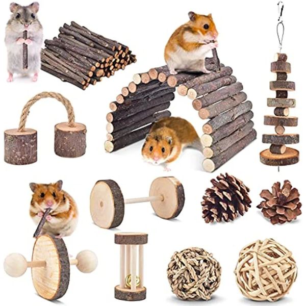 Toys Hamster mâcher des jouets Set petit animal molaire toys dents soins accessoires en bois pour les cobayes chinchillas gerbilles souris souris souris