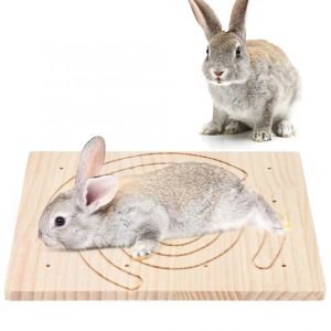 Jouets Hamster hérisson écureuil lapin, jouets pour animaux de compagnie, Cage griffes en bois, planche à gratter, jouets accessoires griffes, outil de grattage