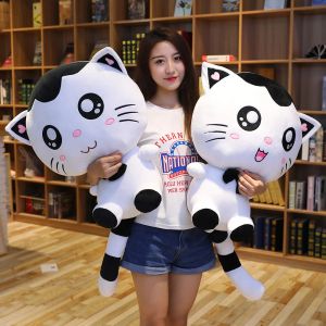 Toys Hot peluche jouet mignon Big Face Cat Soft Doll Doll Girl Girl Sleeping Bed Oread