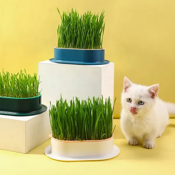 Juguetes Caja de cultivo de planta hidropónica para mascota, hierba de gato, bandeja de crecimiento, invernadero, bocadillo para pelota, limpieza de estómago, caja de cultivo