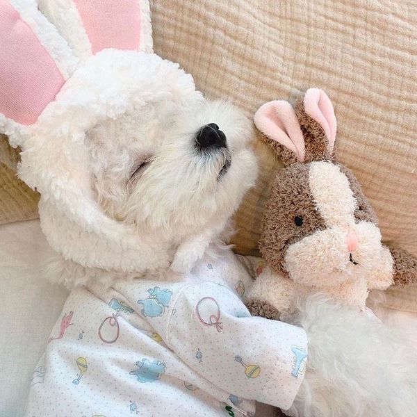 Juguetes INS nuevo lindo conejo ardilla durmiendo con mascota de peluche juguete interactivo divertido sonido perro juguete cachorro Chihuahua
