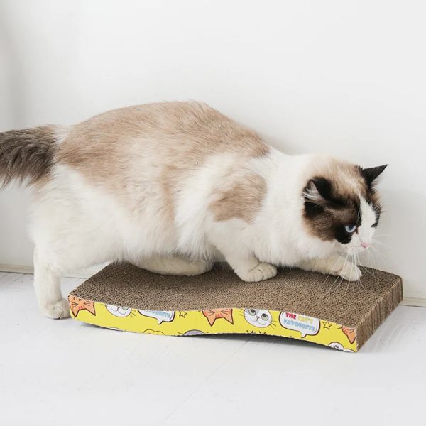 Toys Madden Cat Toyers Scratch Cat Scratch Board Plaw Grider Paper Cat Fournitures Cat WearResistant Scratteur Pet Furnitur