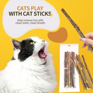 Toys Natural Catnip Pet Cat molaire dentifrice bâton pour animaux de compagnie chaton mâteur