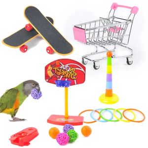 Jouets nouveau 1 ensemble de jouets pour petits oiseaux, support pour perroquet, Skateboard, accessoires pour oiseaux, griffes d'entraînement, Mini plaque coulissante pour perroquet gris africain