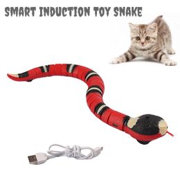 Toys Nieuwheid Snake Toy Funny Cat Interactive Toys Cat Stick Snake Petase Pet Dogs Play Mischief Gift Kitten Interactive Teaser