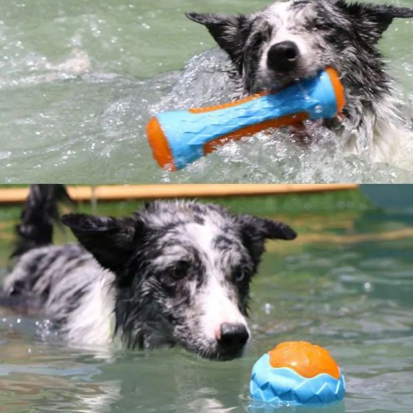 Toys Outdoor Floating Pet Products For Growe Medium Dogs TPR Dog Toy Toy avec eau Piscine Pool Training Training Toy Puppy Assessories