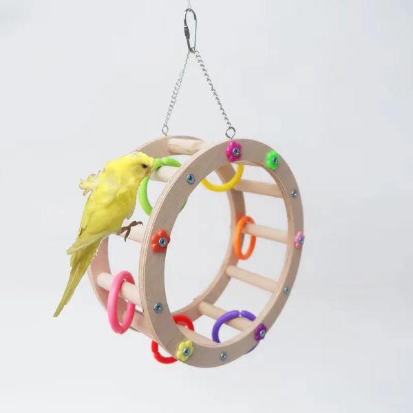 Jouets perroquet oiseau jouet Cage pendentif ronger la recherche de nourriture échelle d'escalade grande roue jouer balançoire blocs de construction colorés fournitures de sport pour oiseaux