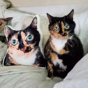 Toys Pet Custom Oreiller Photo Coussin bricolage Toys Poupées Animal en peluche Coutume Cat Picture de chat