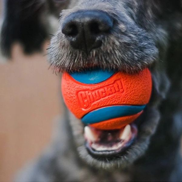 Juguetes Pelota de Goma para Perros, Juguetes para Perros, Resistencia a Las mordeduras, Juguetes para Masticar para Perros, Divertido Bulldog francés, Pug, Juguete, Cachorro, Perros de compañía, Productos de Entrenamiento