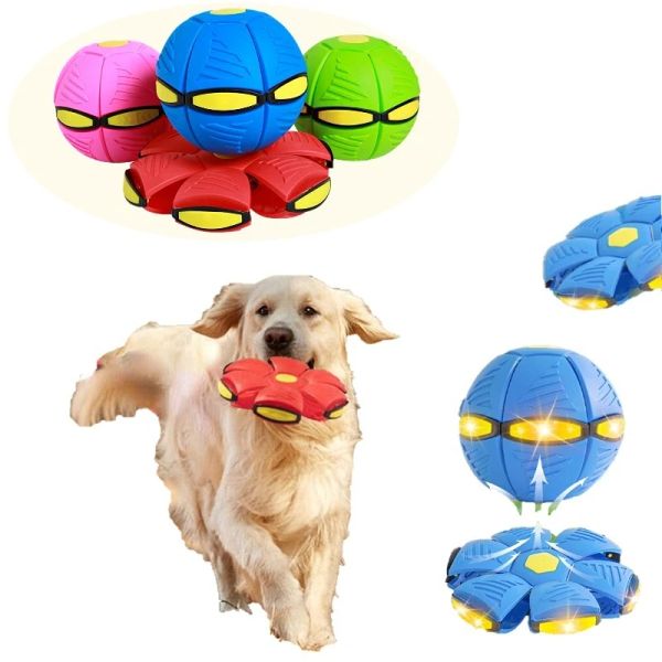 Jouets Jouets pour chiens de compagnie soucoupe volante balle déformation magique jouets ovni Sports de plein air équipement de formation de chien jeu de chien disque volant jouet pour animaux de compagnie