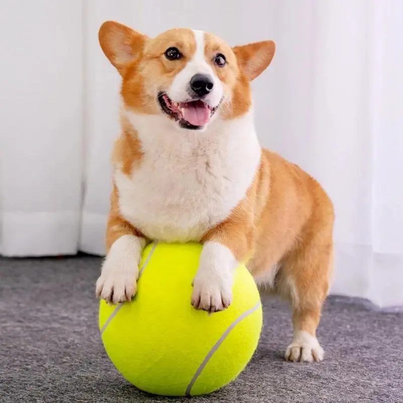 Oyuncaklar Pet Pet Büyük Boy Şişirilebilir Kovalayan Tenis Top Pet Tenis Ball Chewing Ball Ball Oyuncak Eğlence Açık Hava Oyun Oyuncaklar Büyük Pet için