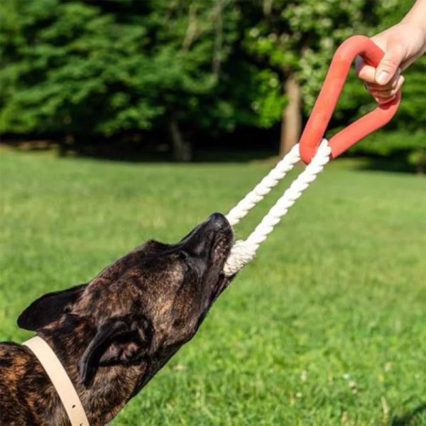 Jouets jouets pour animaux de compagnie chien Triangle tirer jouets résistant morsure coton corde jouets à mâcher pour chien jeu interactif en plein air tir à la corde jouets pour chiens