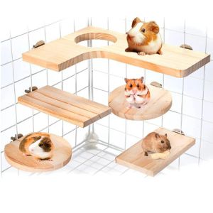 Toys Pet Wood Stand Platform Hamster Guinée Pigne Toys Paw Gerbils Springboard Pet Sauting Board à la maison