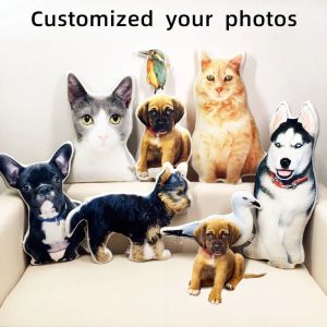 Toys Photo Personnalisation DIY Dog Cushion Pet en peluche Toys Dolls Animal Cat Cat canapé-oreiller de Noël décoratif cadeau de Noël cadeau