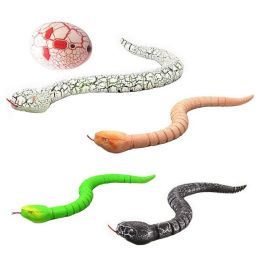 Toys Remote Control Snake Cat Toyenglish Nombre