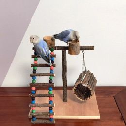 Toys en bois massif perroqueter support d'oiseau portable toys de bureau