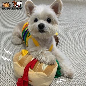 Jouets SUPREPET chien renifleur jouets interactifs en peluche mignon nourriture résistant aux morsures couineur pain jouet chiot accessoires d'entraînement