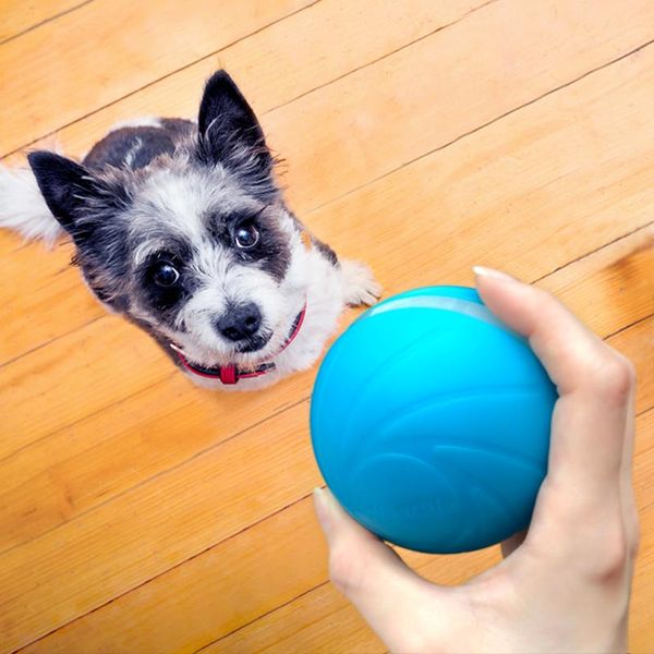 Juguetes Wickedball Wicked Ball nuevo producto mejor venta juguete para masticar interactivo para mascotas duraderas juego para perros y gatos